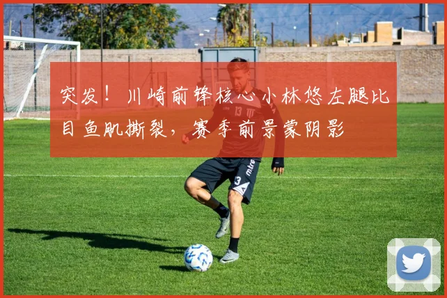 突发！川崎前锋核心小林悠左腿比目鱼肌撕裂，赛季前景蒙阴影